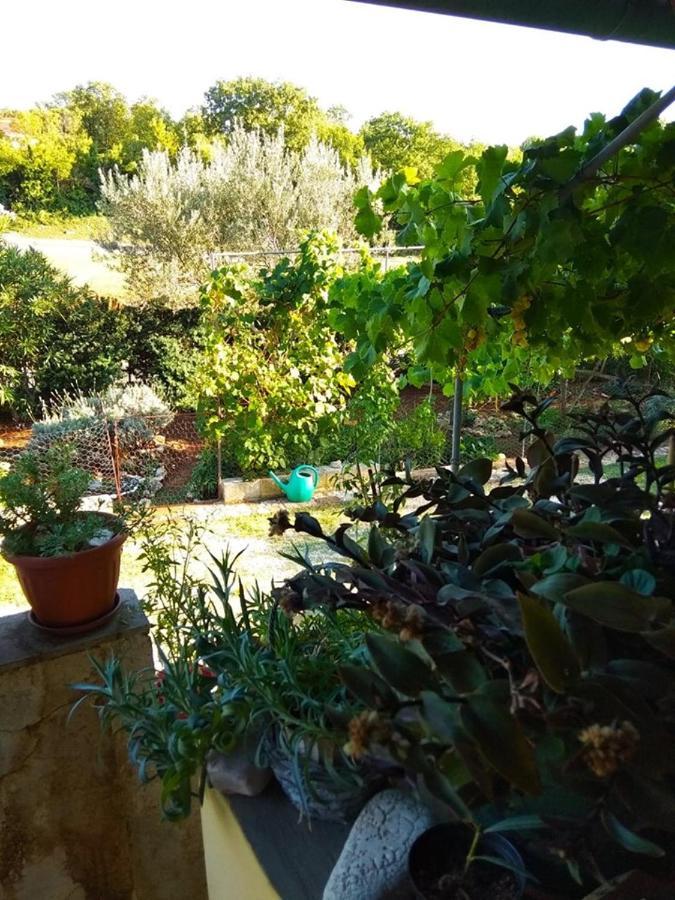 Apartman Garma Rovinj Exterior photo