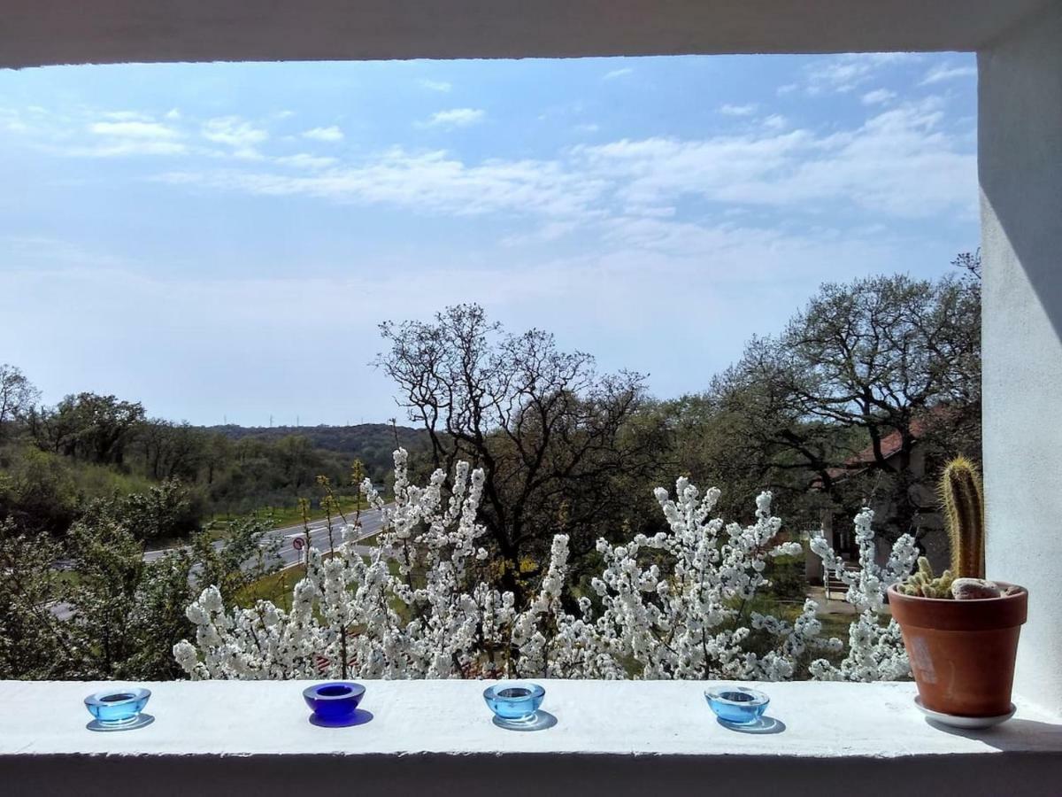 Apartman Garma Rovinj Exterior photo
